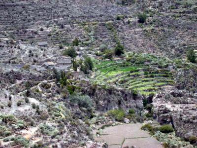 Outlying farm in Andagua area