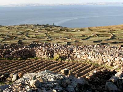 Fields on Isla Amantani, Peru